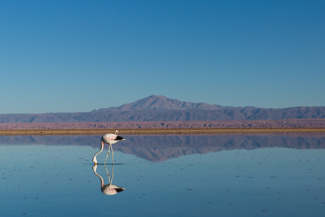 imagen san pedro de atacama